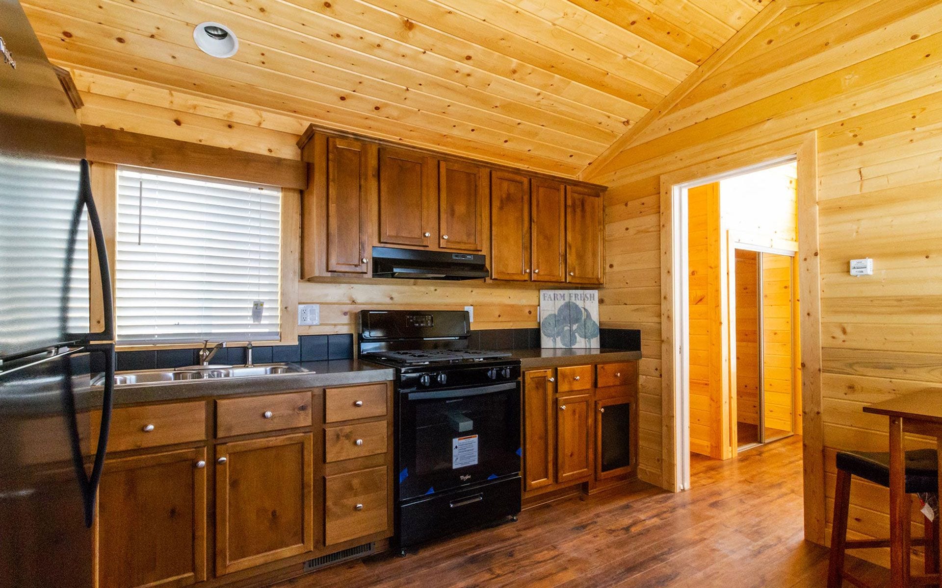 Champion Athens APH-531 - Kitchen Appliances