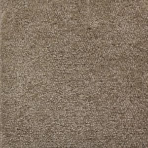 Palm Harbor Decor - Carpet - Etching (Standard)
