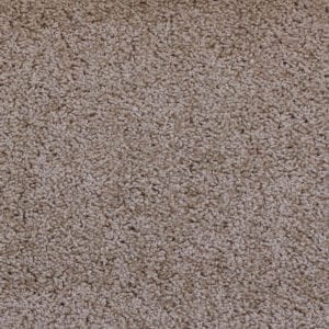 Palm Harbor Decor - Carpet - Go Softly (Upgrade)