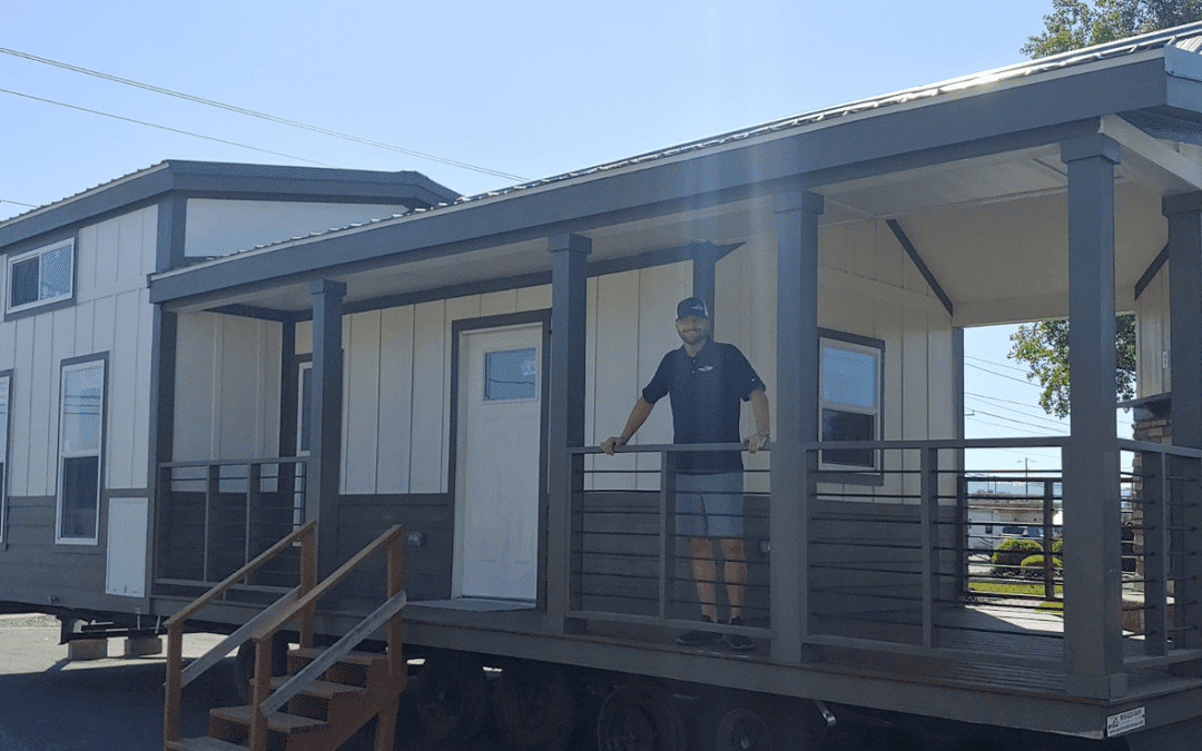 Athens Champion- APH 523 with loft