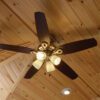 APC-DSC_4867_ceiling_fan