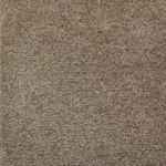Palm Harbor Decor - Carpet - Etching (Standard)