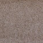 Palm Harbor Decor - Carpet - Go Softly (Upgrade)