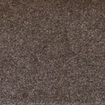 Palm Harbor Decor - Carpet - New Day (Upgrade)